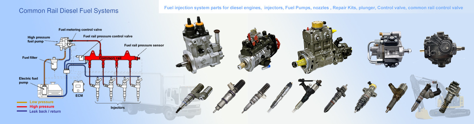 Bosch Fuel Injector Pump