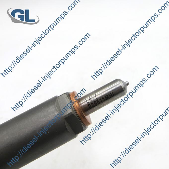 Delphi Diesel Common Rail Fuel Injectors 28288104 278901160106 278 901 ...