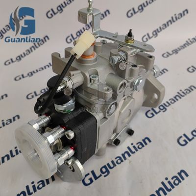 22100-1C190 New Diesel Fuel Pump 22100-1C190 VE6/10F1900RND264 196000-2640 for LAND CRUISER 1HZ Engine