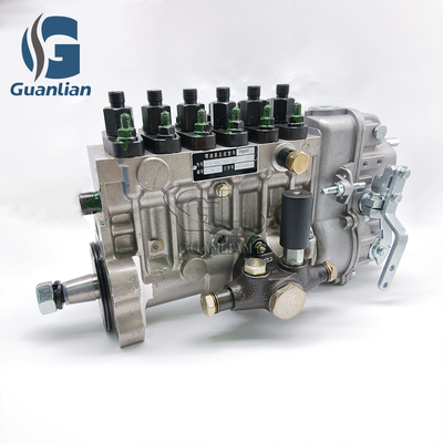 Fuel Injection Pump P86PF1 8400360865 S00013496+01 for Shangchai D6114 G128 Engine